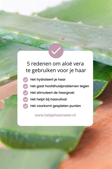 Optimale Ingrediënten Voor Haarverzorging Na Transplantatie